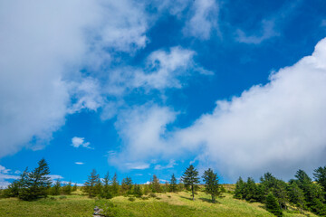 長野県松本市、上田市、小県郡長和町にある美ヶ原を登山する風景 Scenery of climbing Utsukushi-ga-hara in Matsumoto City, Ueda City, and Nagawa Town, Chiisagata-gun, Nagano Prefecture.