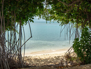 Framed view through the trees of the beach in Oranjestad, Aruba.
