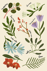 Winter botanicals on a beige phone background illustration