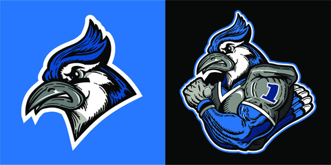 blue jay football team mascot for school, college or league