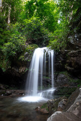 Obraz na płótnie Canvas Grotto Falls in the Smoky Mountains