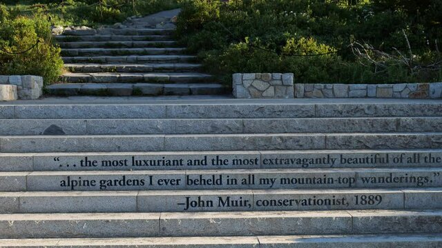 Cinematic 4K footage of the John Muir conservationist's quote, alpine meadows, glaciers and flowering slopes at the Paradise area on Mount Rainier in Mount Rainier National Park in Washington
