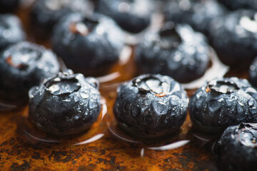 Freshly harvested blueberries with water drops. Selective focus.
