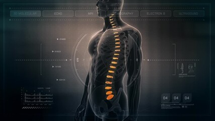 Anatomy of Human Male Spinal Discs on Futuristic Medical Interface dashboard. Seamless Loop. Animation. - Powered by Adobe