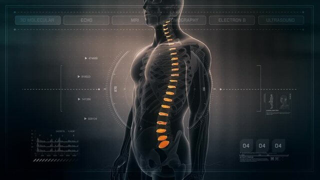 Anatomy of Human Male Spinal Discs on Futuristic Medical Interface dashboard. Seamless Loop. Animation.