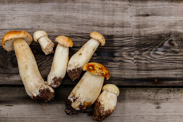 Freshly picked porcini mushrooms on rustic wooden table. Top view
