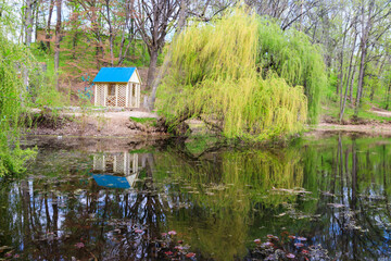 Fototapeta premium View of the Krasnokutsk park, Kharkiv region, Ukraine