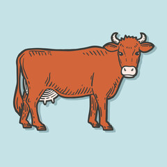 Farm animal. Cow sketch. Hand drawn. Vintage style. Vector illustration