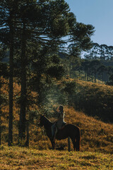 horse
passeio a cavalo
natureza
cavalo
