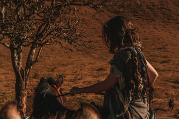 horse
passeio a cavalo
natureza
cavalo
