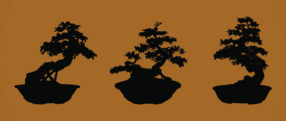 Set of bonsai vector illustration on white background. 