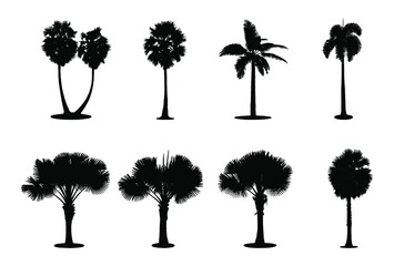 Set of palm silhouette vector illustration on white background. 