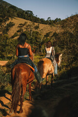 horse
passeio a cavalo
natureza
cavalo
