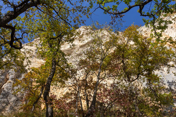 Autumn nature walks through the mountain canyon.