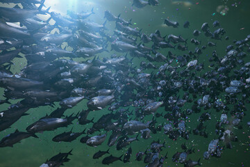 Fototapeta na wymiar group of Atlantic herrings between microplastic particles 