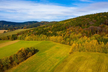 Fototapeta na wymiar View from drone of undulating forest landscape in sunny autumn day..