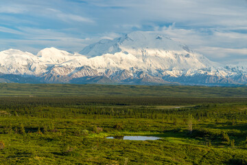 Fototapeta premium Denali from near Wonder lake