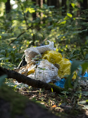 Plastic waste in the forest
