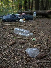 Plastic waste in the forest