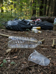 Plastic waste in the forest