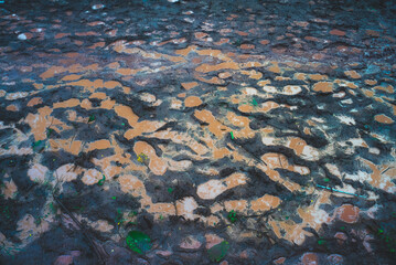 wet human footprint track on dirty mud, print, texture of foot path pattern background in nature ground, abstract imprint footstep walk from shoe or boot