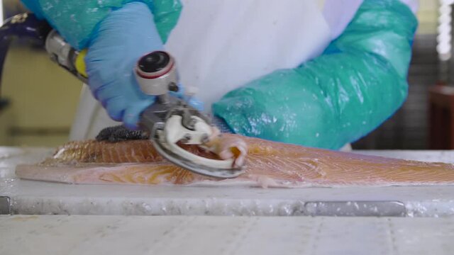 entering the field of a salmon fillet then cutting the peritoneum with an electric machine then leaving the field in slow motion