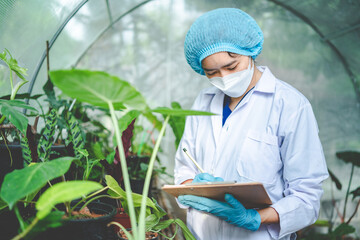 biology scientist working to research a growth plant in agriculture greenhouse, nature organic...