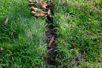 The texture of the rubber bands. Motorcycle motocross on the asphalt in the middle of the forest. Motocross race track with trail markings on the road.tire track of many vehicle on ground