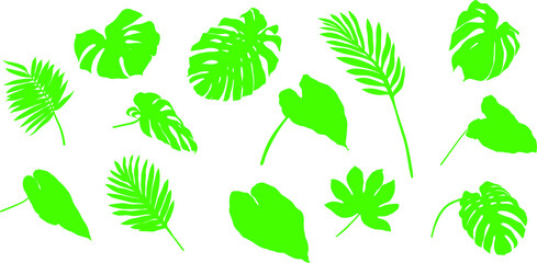 Leaves isolated on white. Tropical leaves. Hand drawn vector illustration
