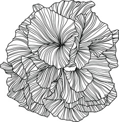Illustration of abstract flower. Line art. Eps 10