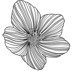 Illustration of abstract flower. Line art. Eps 10