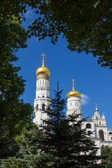 Fototapeta na wymiar The high Kremlin white bell tower with a golden dome Ivan the Great in a natural frame made of tree branches with green leaves on a sunny summer day and blue sky in Moscow Russia