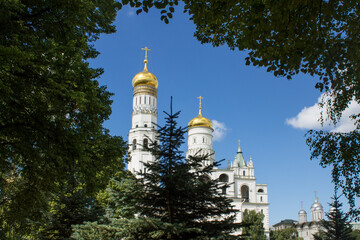 The high Kremlin white bell tower with a golden dome Ivan the Great in a natural frame made of tree branches with green leaves on a sunny summer day and blue sky in Moscow Russia