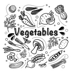 Vegetables doodles hand drawn style.