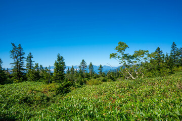 新潟県糸魚川市、妙高市にある火打山、妙高山の登山をしている風景 Scenery of climbing Mount Hiuchi and Mount Myoko in Itoigawa and Myoko City, Niigata Prefecture.