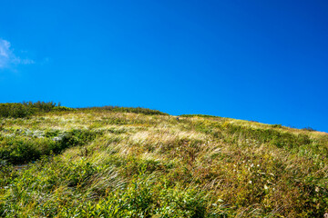 新潟県糸魚川市、妙高市にある火打山、妙高山の登山をしている風景 Scenery of climbing Mount Hiuchi and Mount Myoko in Itoigawa and Myoko City, Niigata Prefecture.