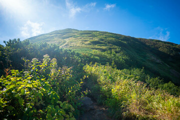 新潟県糸魚川市、妙高市にある火打山、妙高山の登山をしている風景 Scenery of climbing Mount Hiuchi and Mount Myoko in Itoigawa and Myoko City, Niigata Prefecture.