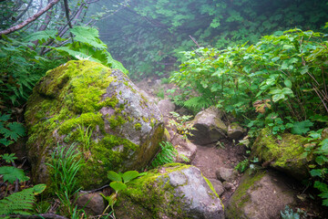 新潟県糸魚川市、妙高市にある火打山、妙高山の登山をしている風景 Scenery of climbing Mount Hiuchi and Mount Myoko in Itoigawa and Myoko City, Niigata Prefecture.