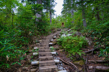 新潟県糸魚川市、妙高市にある火打山、妙高山の登山をしている風景 Scenery of climbing Mount Hiuchi and Mount Myoko in Itoigawa and Myoko City, Niigata Prefecture.