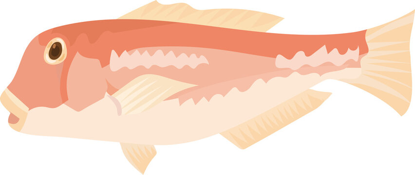 10 739 Best 海水魚 Images Stock Photos Vectors Adobe Stock 10 739 Best 海水魚 Images Stock Photos Vectors Adobe Stock