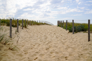 Fototapeta na wymiar Coast access sandy pathway with fence to ocean beach atlantic coast at Cap Ferret in France