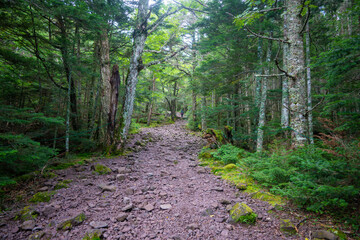 Fototapeta premium 長野県茅野市と北佐久郡立科町にある八ヶ岳連峰の蓼科山の登山の風景 A view of climbing Mount Tateshina in the Yatsugatake mountain range in Chino City and Tateshina Town, Kitasaku County, Nagano Prefecture.