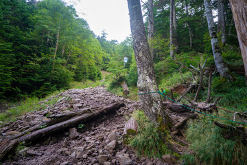 長野県茅野市と北佐久郡立科町にある八ヶ岳連峰の蓼科山の登山の風景 A view of climbing Mount Tateshina in the Yatsugatake mountain range in Chino City and Tateshina Town, Kitasaku County, Nagano Prefecture.