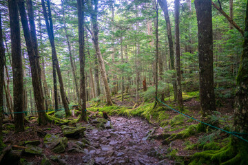 長野県茅野市と北佐久郡立科町にある八ヶ岳連峰の蓼科山の登山の風景 A view of climbing Mount Tateshina in the Yatsugatake mountain range in Chino City and Tateshina Town, Kitasaku County, Nagano Prefecture.