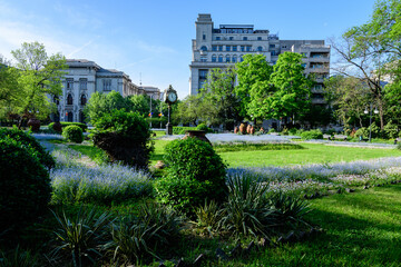 Landscape with green trees, leaves, vintage clock and many small blue forget me not or Scorpion grasses flowers in a sunny day at the entry to Cismigiu Garden (Gradina Cismigiu) in Bucharest, Romania 