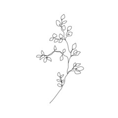 Leaves Branch Line Art Drawing. Floral Minimalist Contour Drawing. One Line llustration. Simple Plant Black Sketch Isolated on White Background. Vector EPS 10