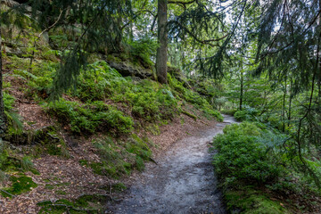 Wanderweg in der Sächsischen Schweiz