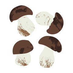 Cep, boletus edulis, porcini. Edible mushrooms. Autumn forest food. Seasonal raw fungi isolated on white. Vegetarian product. Vector flat cartoon illustration