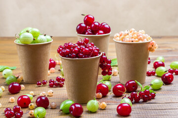 Currants, gooseberries and cherries in paper cups.