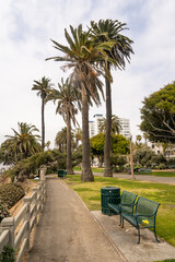 Fototapeta premium Palisades Park